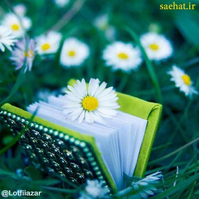افق‌های‌معرفتی